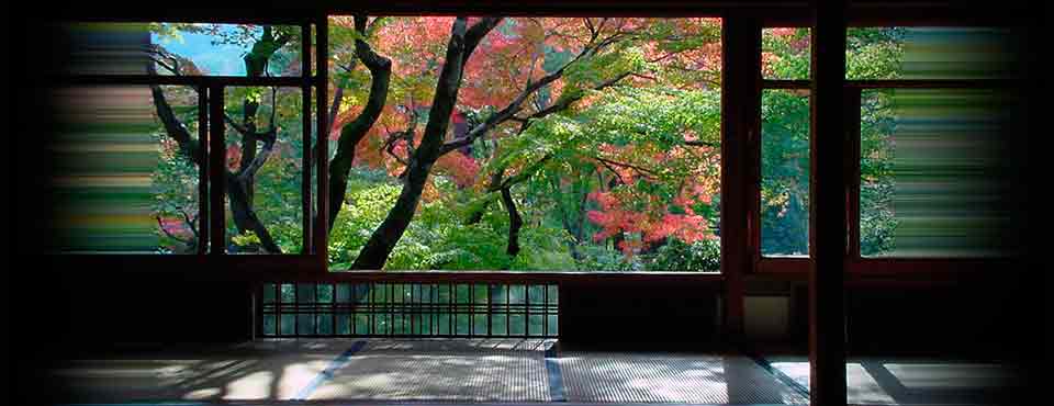 fall color view from the second floor of Hogon-in, Kyoto Japan